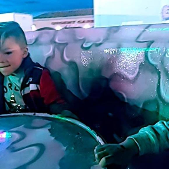 Meet your Posher, Flores - Picture 1 of 1